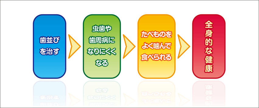 歯並びを治す→むし歯や歯周病になりにくくなる→たべものをよく噛んで食べられる→全身的な健康